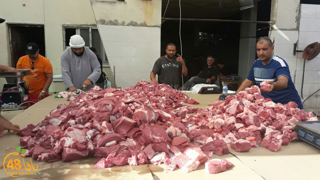 lod8om ada73y (66).jpg